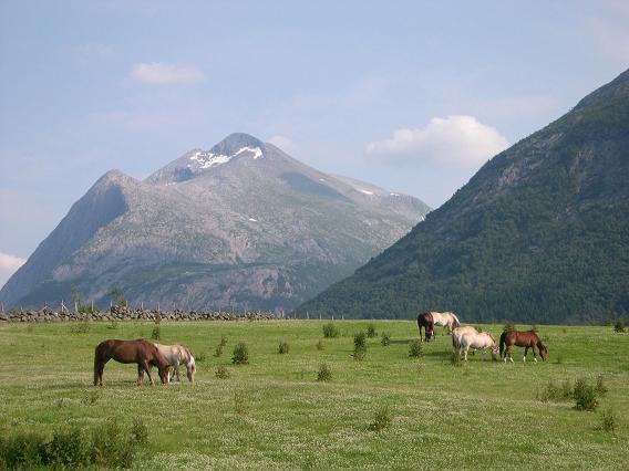Donhaug Gjestegard Uskedalen Exterior foto